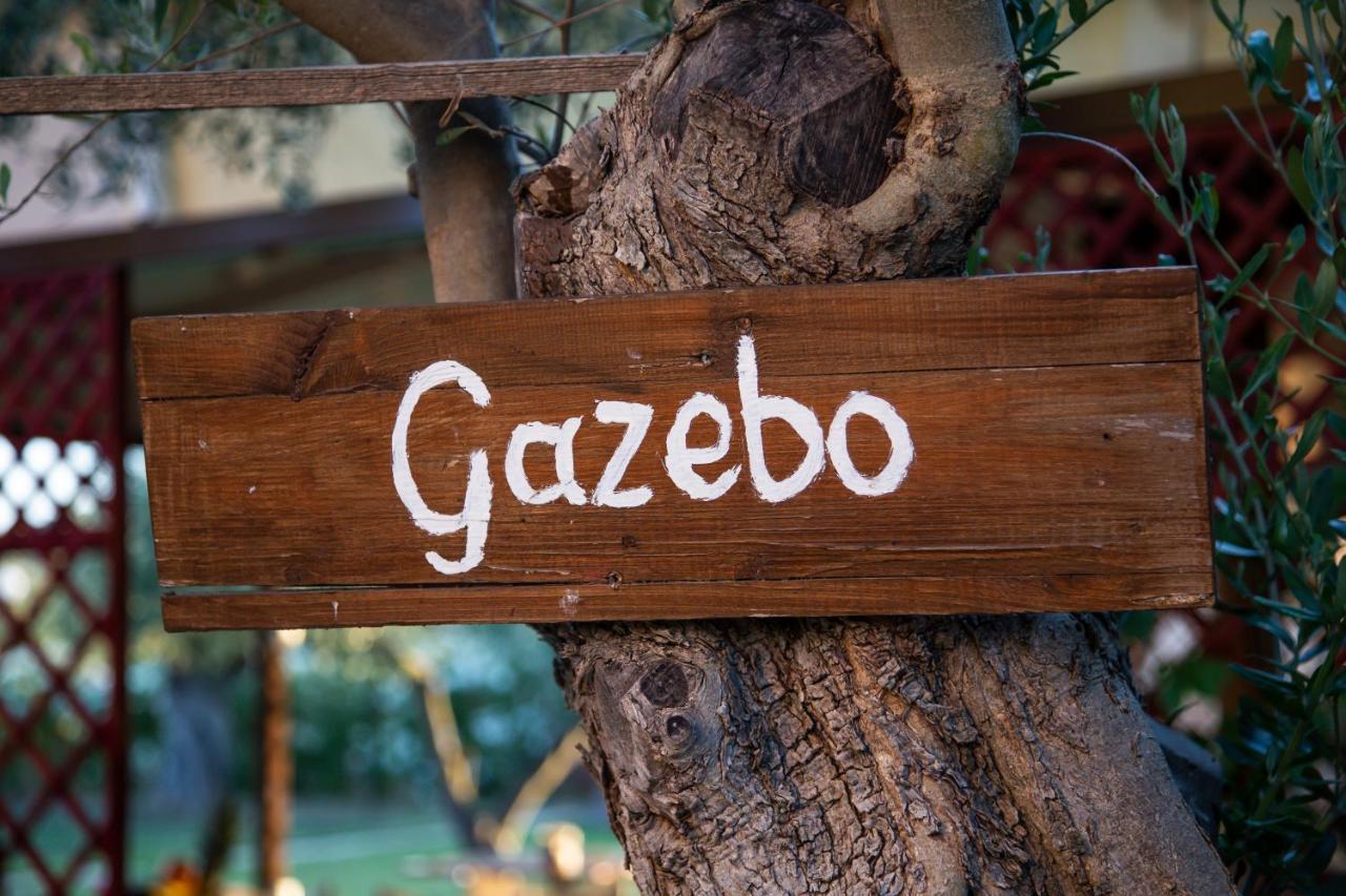 Apartament Agroktima Elia Nauplion Zewnętrze zdjęcie